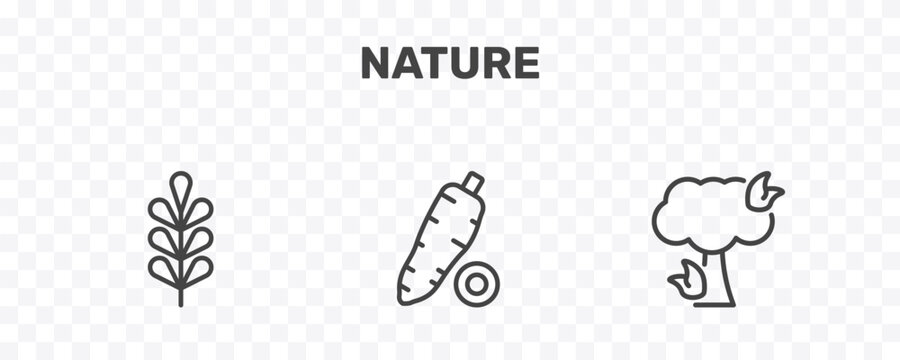 nature icon set with pecan leaf, yucca, pine tree on fire signs in flat outline style
