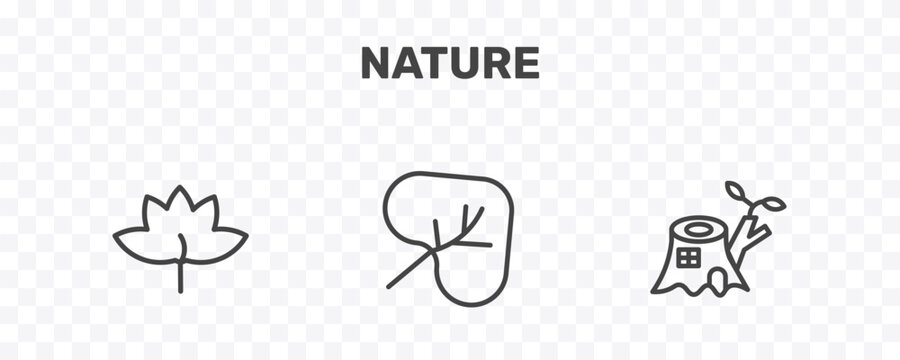 nature icon set with liquidambar leaf, cordate, stump house signs in flat outline style