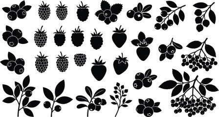 Black silhouette of various berries and fruits on white background, blueberry raspberry strawberry © GT Designs