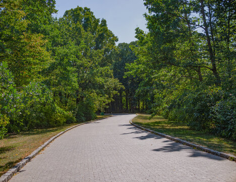 Sunlit Tree-Lined Park Path Curving Through Lush Green Woodland On A Clear Summer Day