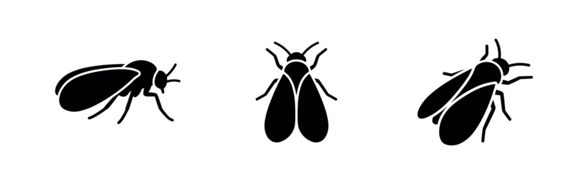 Fly Insect Icons Set. Pest Bug Animal Contamination and Disease Symbol Collection.
