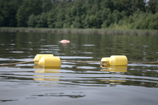 Buoys marking the area of ​​a supervised swimming zone. A lakeside swimming area in summer.
