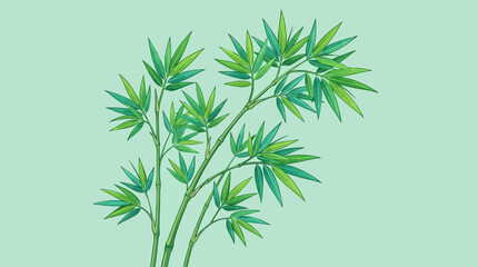 Fototapeta premium Elegant fresh green bamboo branches and leaves in a clean botanical design
