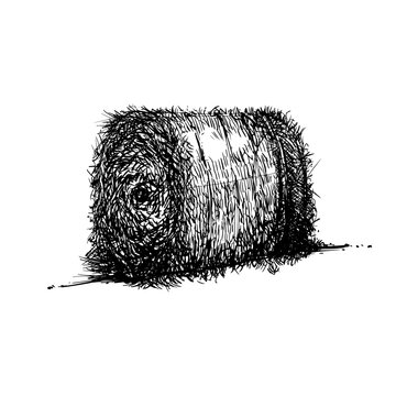 Hand drawn sketch of rounded hay with black line art 