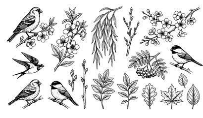 Vintage Hand Drawn Spring Birds and Tree Blossom Botanical Engraving Vector Collection with Leaves Branches and Flowers for Elegant Wedding Invitation Card Designs © Hosneara