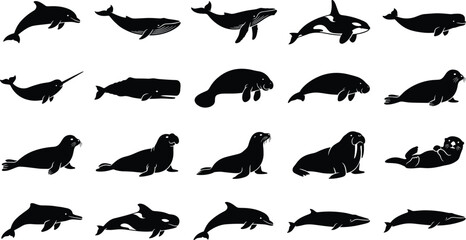 Set of Marine Mammal Silhouettes Vector Collection © Hello World