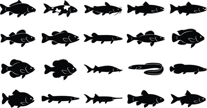 Freshwater Fish Silhouette Vector Icons Set with Carp, Salmon, Trout, Catfish, Bass, Pike, Sturgeon, and Eel