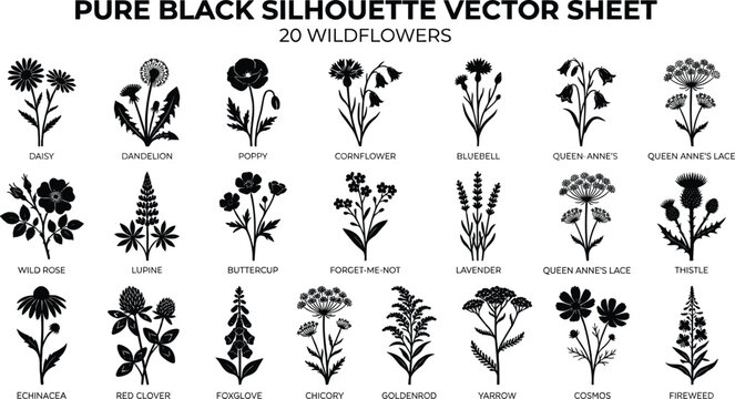 Wildflower Silhouette Vector Set - 20 Black Flower Icons and Botanical Elements

Keywords: