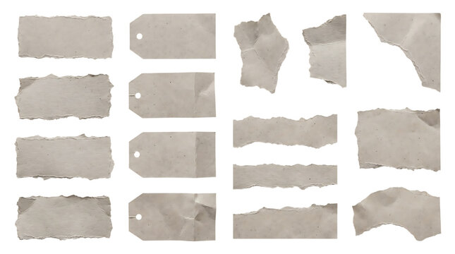 Set of vintage paper tags and torn paper scraps