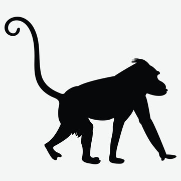 Monkey Silhouette Vector Isolated on White