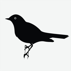 Obraz premium Dove Sparrow Finch Pigeon Bird Silhouette Vector Set