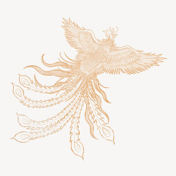 Gold phoenix bird, Chinese mythical creature illustration