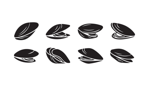 Collection of opened and closed mussel shells isolated on white background with subtle highlights