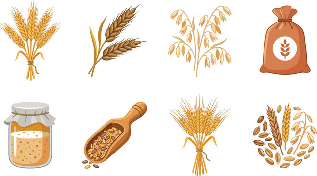 Wheat and Grain Agriculture Vector Collection with Cereal Crops Flour and Harvest Elements