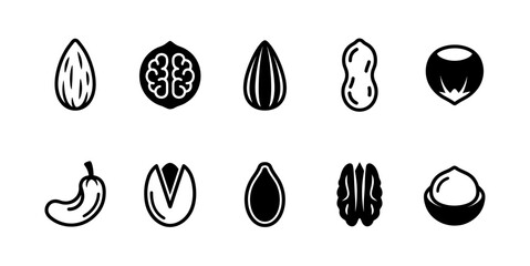 Collection of seeds nuts and fruits in two rows © adgraphic team