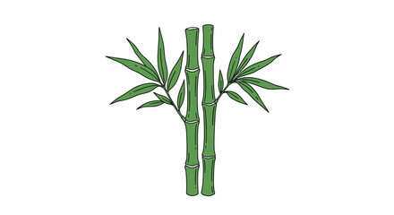 Obraz premium Two vibrant green bamboo stalks with fresh leaves standing tall against a clean white background in hand-drawn style.