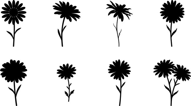 Chamomile daisy flower silhouette pack showing delicate wild floral stems in black shapes