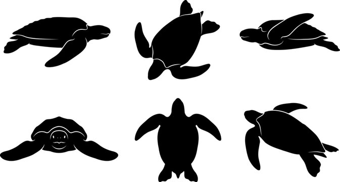 Marine sea turtle silhouette pack showing swimming ocean reptiles from various underwater angles