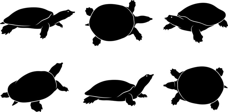 Marine sea turtle silhouettes collection showcasing swimming crawling and top down shell views