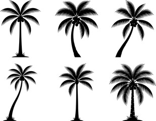 Fototapeta premium Tropical palm tree bundle illustrating different curved trunks and leafy frond shapes