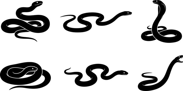 Silhouette set of crawling and coiled snakes on transparent background