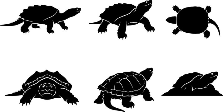 Wild snapping turtle reptile silhouette collection displaying crawling and swimming poses pack