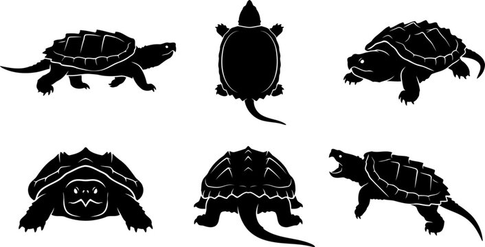 Alligator snapping turtle silhouette bundle showing prehistoric spiked shells and aggressive postures