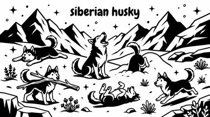beautiful siberian husky standing across a snowy mountain landscape with pine forests frozen trails winter scenery and dramatic alpine surroundings creating a natural cold weather habitat © Ethan