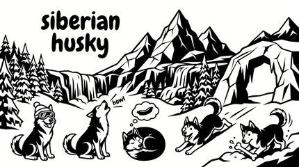 beautiful siberian husky standing across a snowy mountain landscape with pine forests frozen trails winter scenery and dramatic alpine surroundings creating a natural cold weather habitat © Ethan