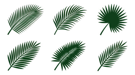 Naklejka premium Flat vector icon set featuring six tropical palm leaves: coconut palm frond, areca palm leaf, fan palm leaf, royal palm frond, foxtail palm frond, date palm leaf