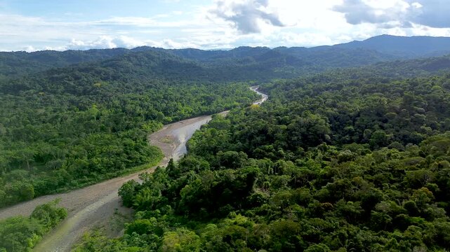 Aerial View of Winding River Through Tropical Forest Valley in Ecuador, Green Mountains, Remote Rainforest, Brown Riverbed and Wilderness Landscape