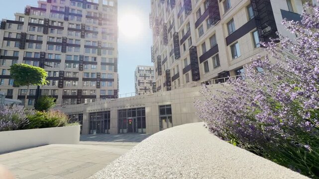 Modern buildings tower under a dazzling sun in a beautiful courtyard in Simferopol, Crimea. Blooming purple flowers bring a joyful feeling. The serene scene feels peaceful.