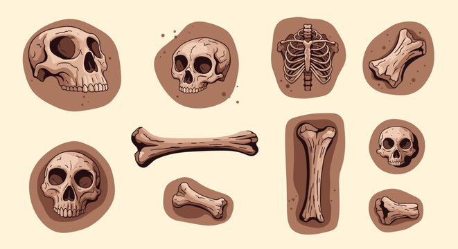 Collection of ancient human skull and bone fossils excavated from soil patches in a clean vector illustration style.
