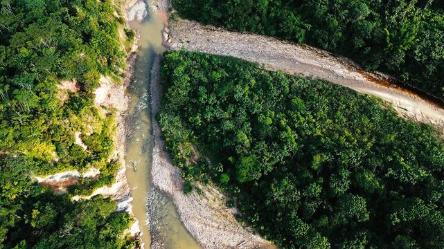 Top Down Drone View of River Bend and Forest Road in Ecuador Rainforest, Gravel Bank, Brown Water, Dense Green Canopy and Remote Jungle Landscape