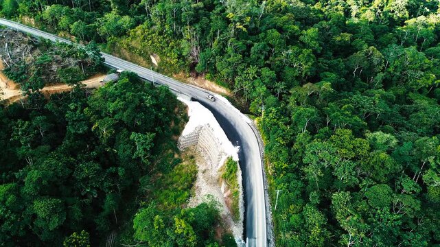 Aerial View of Curving Road Through Dense Ecuador Rainforest, Tropical Green Canopy, Gravel Cut, Remote Jungle Route and Travel Infrastructure