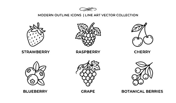 Modern botanical berries and fruits outline icon set with strawberry blueberry raspberry cherry grape line art vector collection