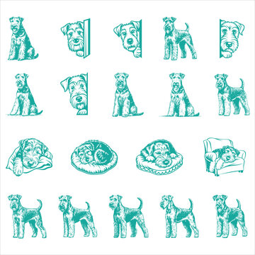 Airedale Terrier dog svg bundle