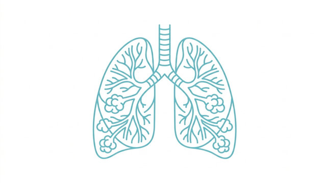 Human Lungs Anatomy Medical Illustration Line Art.