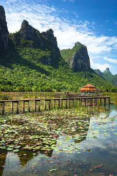 Thung Sam Roi Yot Freshwater Marsh.