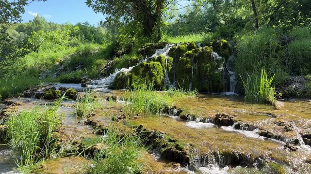 Natural mineral water is bubbling up from the ground and trickling down through the green grass and mossy hummocks in multiple tiny streams.