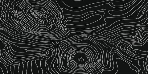 Abstract topographic map contour lines pattern in monochrome black and white with topography abstract elevation geography monochrome cartography geological landscape scientific stylized © MOHAMAD