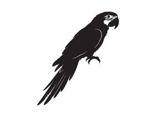 Fototapeta premium Black and white silhouette of a macaw parrot perched with silhouette wildlife tropical