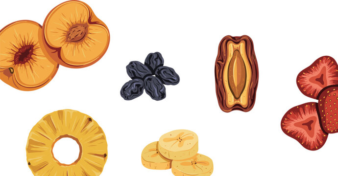 PrintAssorted Dried Fruit Slices Vector Set with Pineapple, Peach, Banana, Strawberry, Raisins, and Dates Isolated on White Background for Healthy Food Layouts
