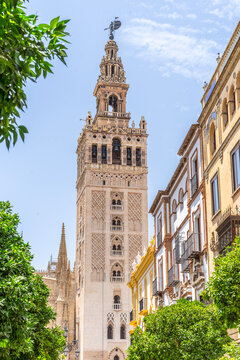 Giralda tower rising above cathedral and traditional architecture in Seville Spain