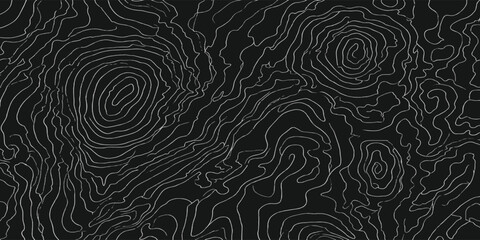 Abstract topographic map contour lines pattern in monochrome black and white with topography abstract elevation geography monochrome cartography geological landscape scientific stylized © MOHAMAD