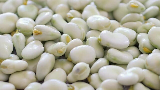 Fava beans - slow slider shot over raw shelled broad beans