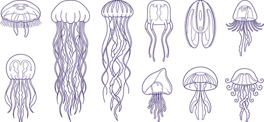 Hand Drawn Jellyfish Outline Collection with Marine Medusa Sketches, Ocean Wildlife Line Art, Underwater Sea Creatures, and Vector Illustration Set © MstSuborna