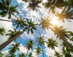 Fototapeta premium Looking up at blue sky and palm trees, view from below, vintage style, tropical beach and summer background, travel concept