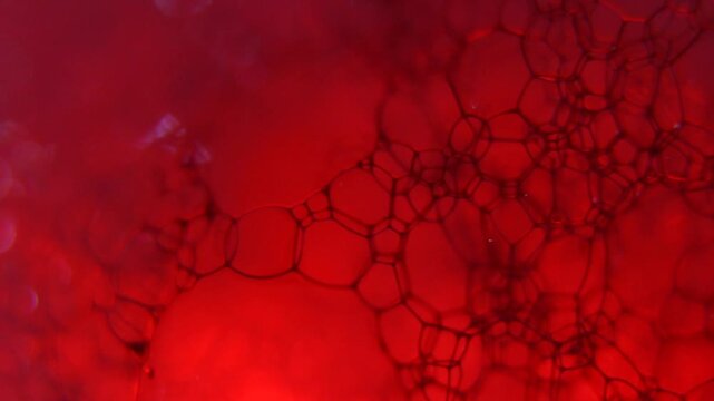 Close-up microscopic view of plant cell walls with purple lighting and intricate polygonal patterns.
