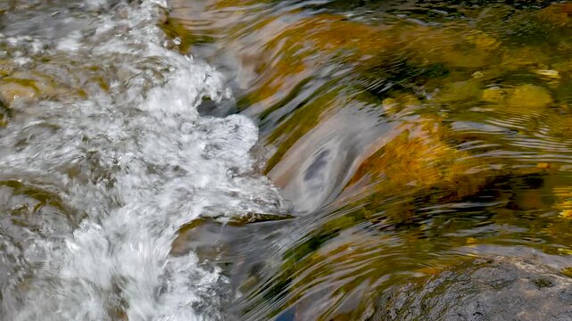 Looping shot of clear stream water creating gentle bubbles as it flows over stones. Perfect for ASMR visuals, ambience loops, meditation, and calming backgrounds.
